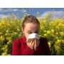 Аллергия – это проклятие цивилизации 21 века(статья).
