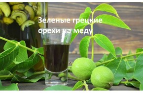6 руб. Грецкие зеленые орехи молочной спелости, белорусские, купить.
