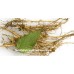 5 руб. Крапивы двудомной молодой лист, купить, дикорастущие травы Беларуси.
